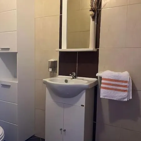 Snjezana Vrsine